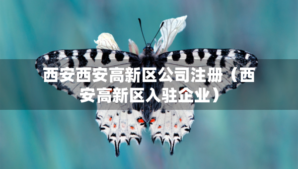 西安西安高新区公司注册（西安高新区入驻企业）