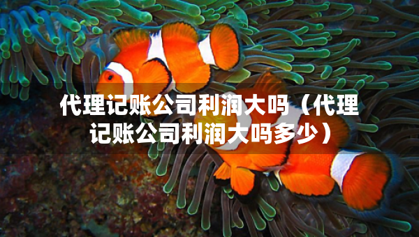 代理记账公司利润大吗（代理记账公司利润大吗多少）