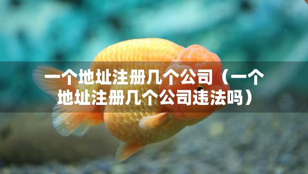 一个地址注册几个公司（一个地址注册几个公司违法吗）
