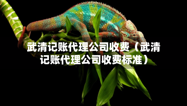 武清记账代理公司收费（武清记账代理公司收费标准）