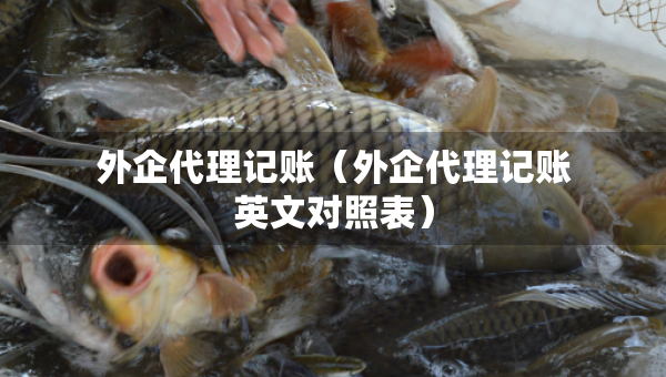 外企代理记账（外企代理记账英文对照表）
