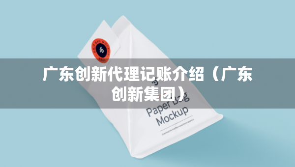 广东创新代理记账介绍（广东创新集团）