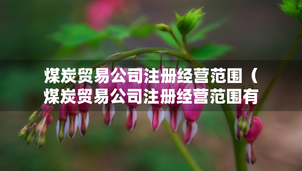 煤炭贸易公司注册经营范围（煤炭贸易公司注册经营范围有哪些）