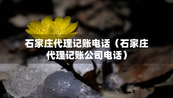 石家庄代理记账电话（石家庄代理记账公司电话）