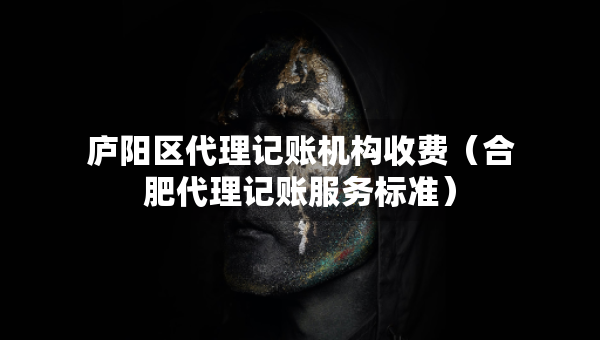 庐阳区代理记账机构收费（合肥代理记账服务标准）