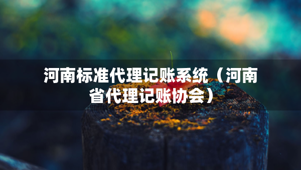河南标准代理记账系统（河南省代理记账协会）