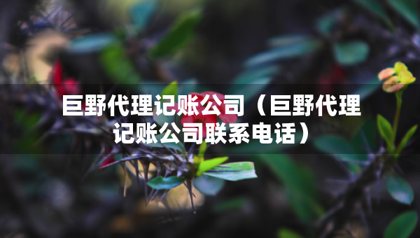 巨野代理记账公司（巨野代理记账公司联系电话）