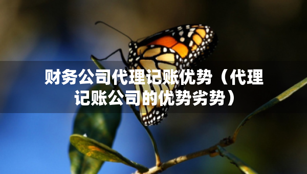 财务公司代理记账优势（代理记账公司的优势劣势）