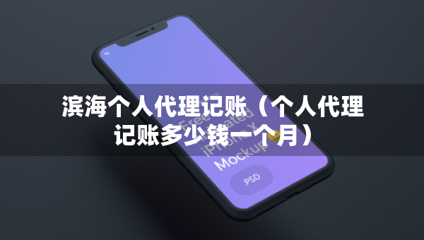 滨海个人代理记账（个人代理记账多少钱一个月）