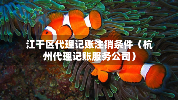 江干区代理记账注销条件（杭州代理记账服务公司）