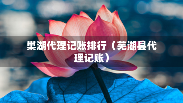 巢湖代理记账排行（芜湖县代理记账）