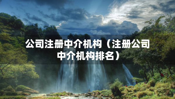 公司注册中介机构(注册公司中介机构排名) 公司注册中介机构(注册公司中介机构排名)