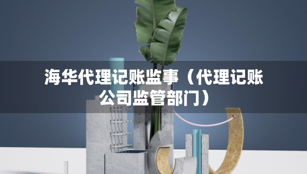 海华代理记账监事（代理记账公司监管部门）