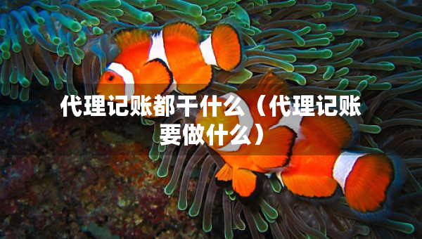代理记账都干什么（代理记账要做什么）