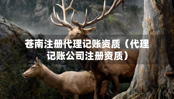 苍南注册代理记账资质（代理记账公司注册资质）