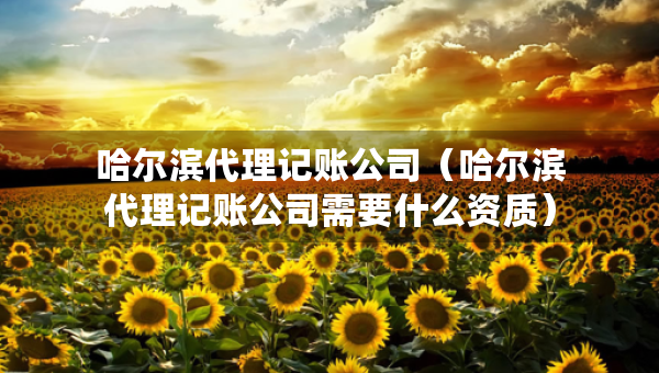 哈尔滨代理记账公司（哈尔滨代理记账公司需要什么资质）