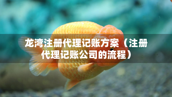 龙湾注册代理记账方案（注册代理记账公司的流程）