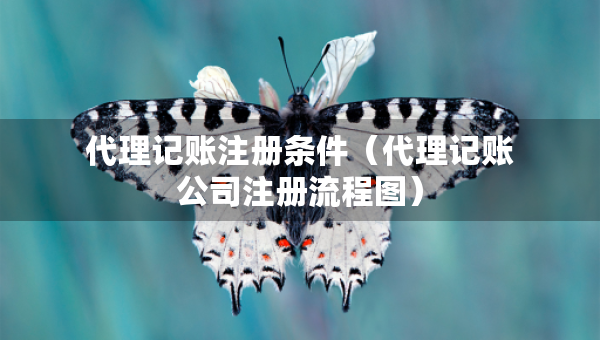 代理记账注册条件（代理记账公司注册流程图）