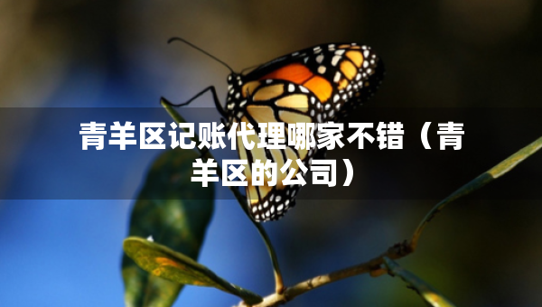 青羊区记账代理哪家不错（青羊区的公司）