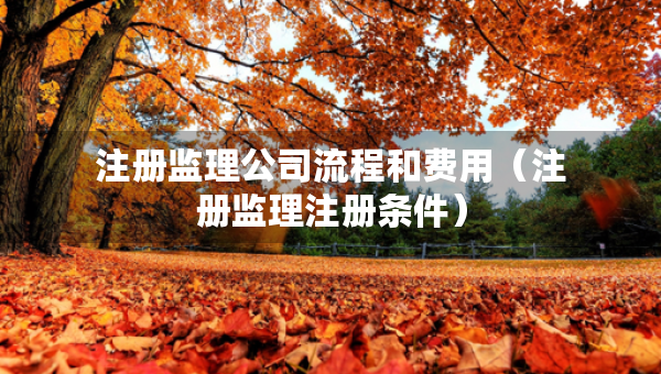 注册监理公司流程和费用（注册监理注册条件）