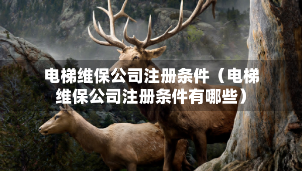 电梯维保公司注册条件（电梯维保公司注册条件有哪些）