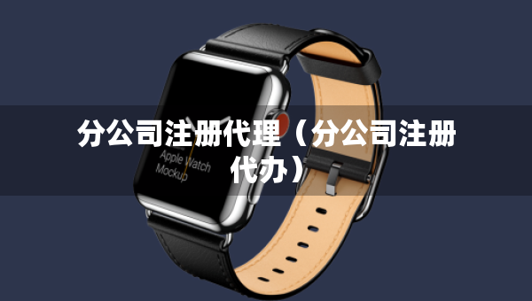 分公司注册代理（分公司注册代办）