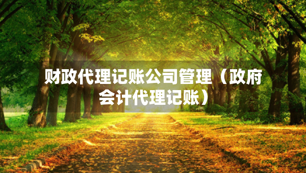 财政代理记账公司管理（政府会计代理记账）