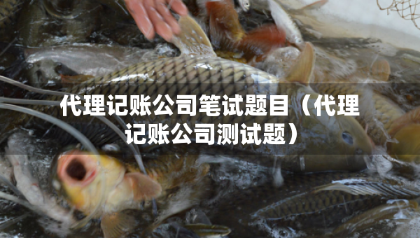 代理记账公司笔试题目（代理记账公司测试题）