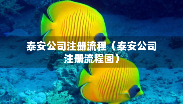 泰安公司注册流程（泰安公司注册流程图）