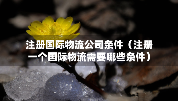 注册国际物流公司条件（注册一个国际物流需要哪些条件）