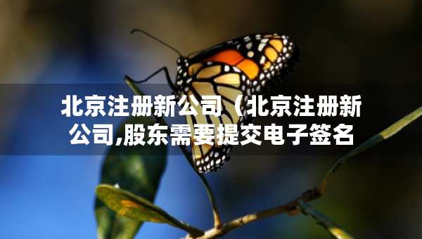 北京注册新公司（北京注册新公司,股东需要提交电子签名么）