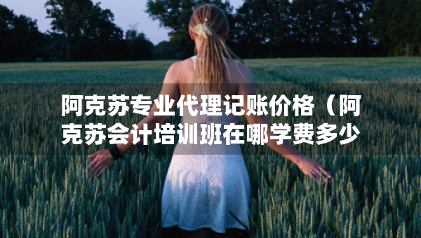 阿克苏专业代理记账价格（阿克苏会计培训班在哪学费多少）