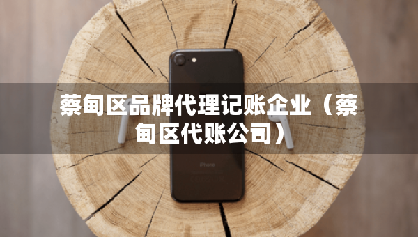蔡甸区品牌代理记账企业（蔡甸区代账公司）