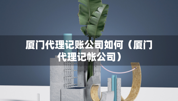 厦门代理记账公司如何（厦门代理记帐公司）