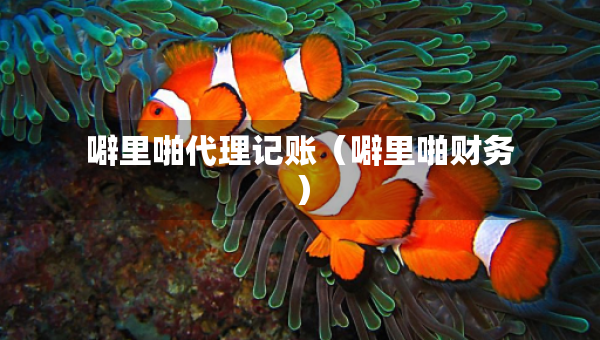 噼里啪代理记账(噼里啪财务) 噼里啪代理记账(噼里啪财务)