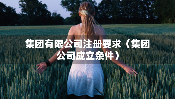 集团有限公司注册要求（集团公司成立条件）