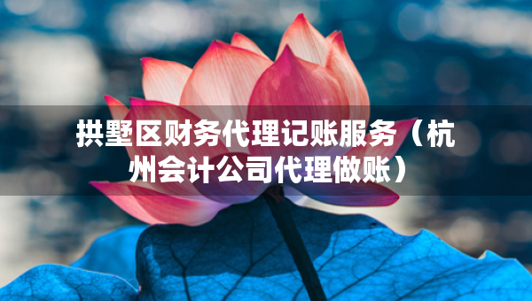 拱墅区财务代理记账服务（杭州会计公司代理做账）