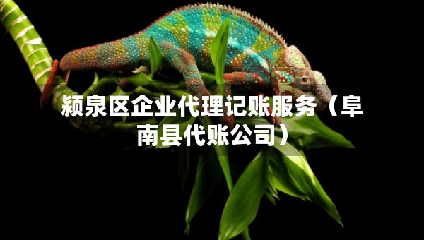 颍泉区企业代理记账服务（阜南县代账公司）