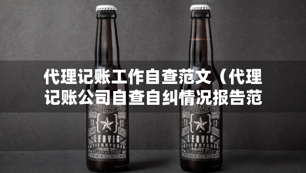 代理记账工作自查范文（代理记账公司自查自纠情况报告范文）
