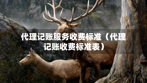 代理记账服务收费标准（代理记账收费标准表）