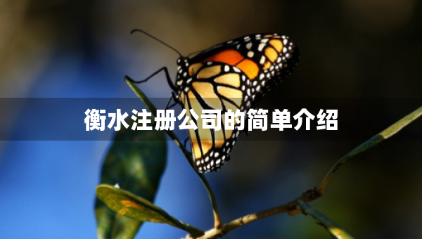 衡水注册公司的简单介绍