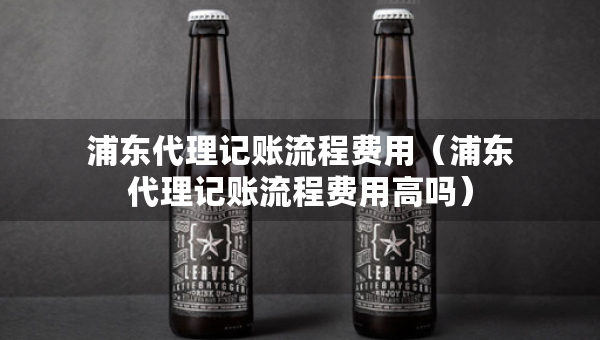浦东代理记账流程费用（浦东代理记账流程费用高吗）