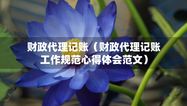 财政代理记账（财政代理记账工作规范心得体会范文）