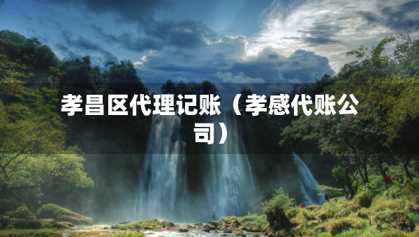 孝昌区代理记账（孝感代账公司）