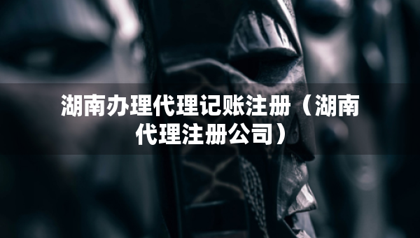 湖南办理代理记账注册（湖南代理注册公司）