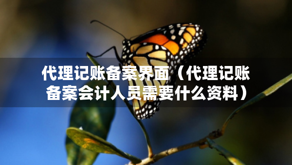 代理记账备案界面（代理记账备案会计人员需要什么资料）