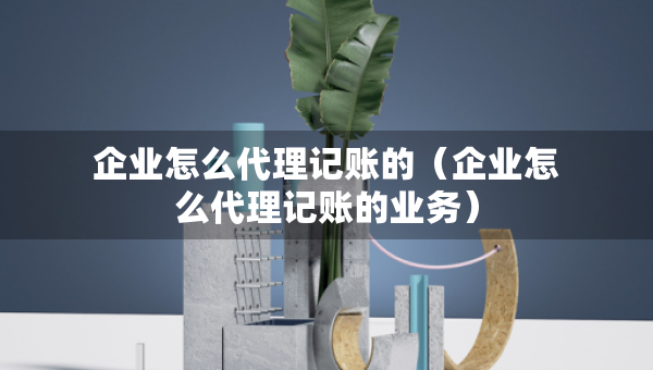 企业怎么代理记账的（企业怎么代理记账的业务）