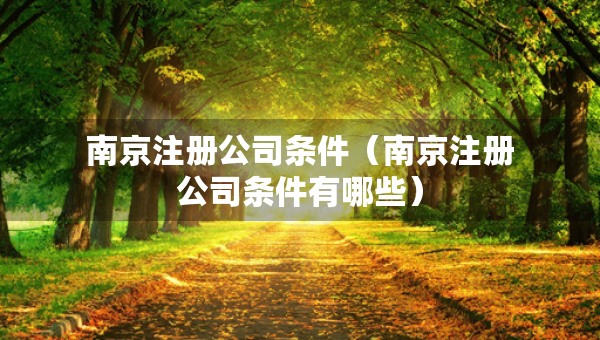 南京注册公司条件（南京注册公司条件有哪些）