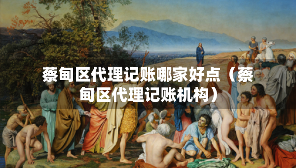 蔡甸区代理记账哪家好点（蔡甸区代理记账机构）