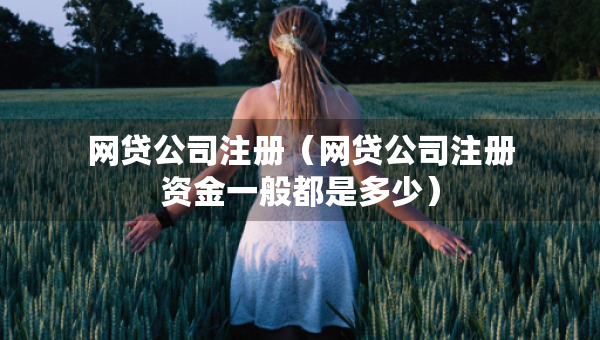 网贷公司注册（网贷公司注册资金一般都是多少）